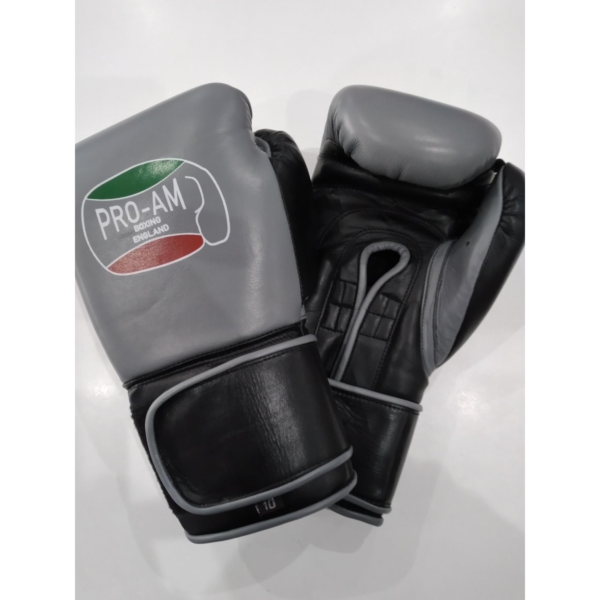 pro am boxing gloves