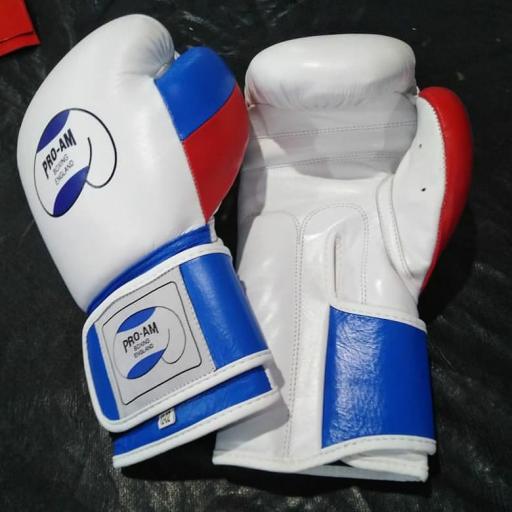 Campeon / Pro Am - Boxing Gloves