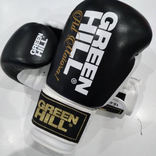 Greenhill sparring gloves